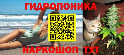ГАЛЛЮЦИНОГЕННЫЕ ГРИБЫ Кандалакша