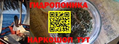 ГАЛЛЮЦИНОГЕННЫЕ ГРИБЫ Кандалакша